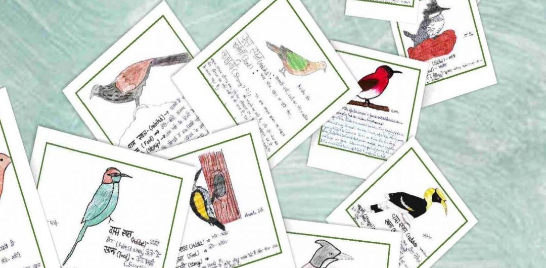 Birds of Kyari