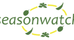 Seasonwatch logo