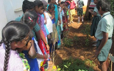 Ecology and Education