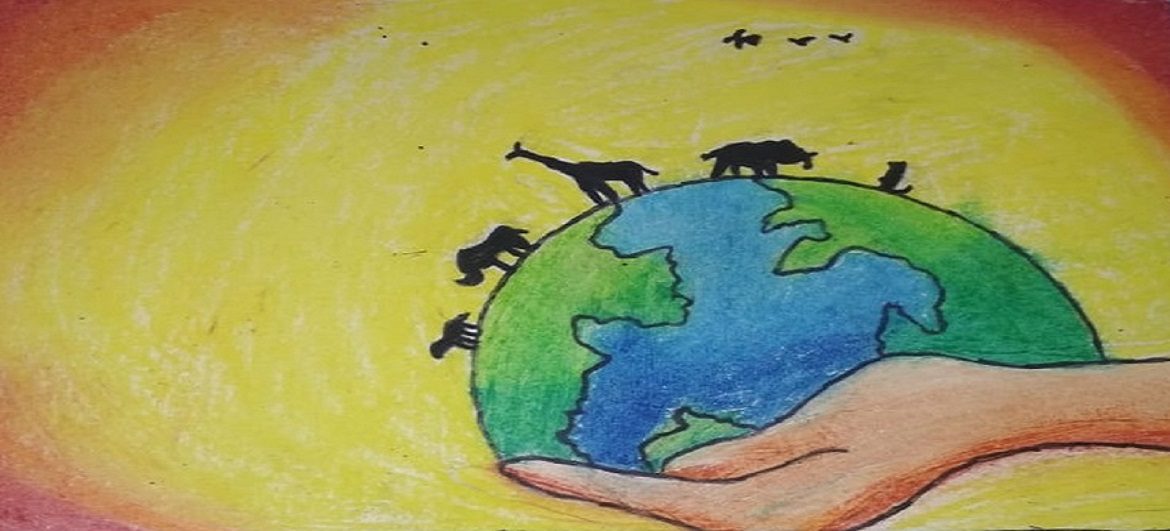 Army Navy Air Force Wives Activity Trust (ANAWA)