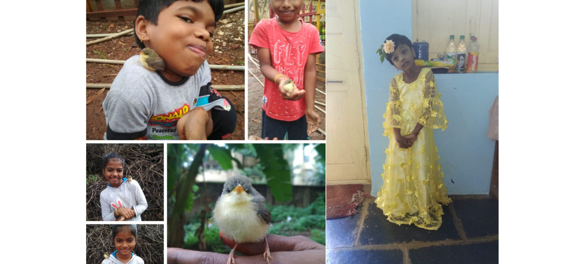 Fourth Wave Foundation