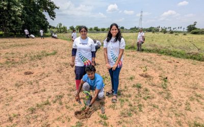 Small yet impactful contribution by Wipro employees to enhance green cover